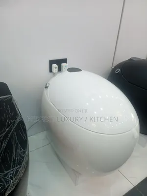 Luxury Smart Ideal Standard Egg Shape Sensor W C Water Closet 