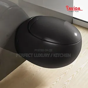 Lavida Black Egg Shape Wall Hang Concealed W C Water Closet 