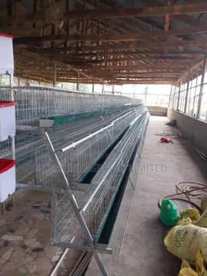 Battery Cage for Layers and Broilers