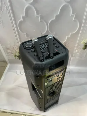 Ailipu Speaker With 2 Mica Phone