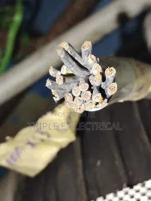 2.5mm X 25 Core Flexible Cable