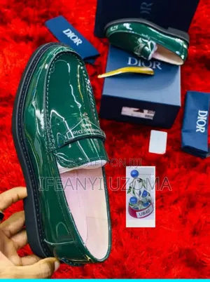 Dior Green  and Black Color Luxury Shoe
