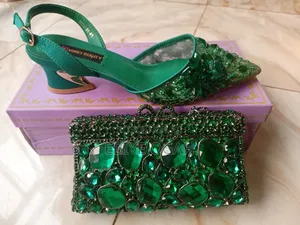 Luxury Clutch Purse and Shoe