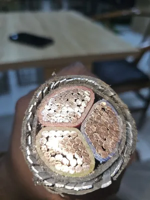 300mm 3core Armored Cable