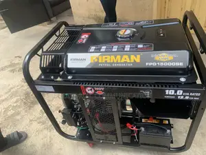 Firman Fpg15000se 10kva Industrial Petrol Generator