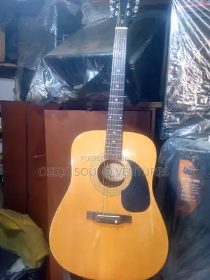 Acoustic Box Guitar