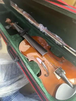 Professional Yamaha Violin