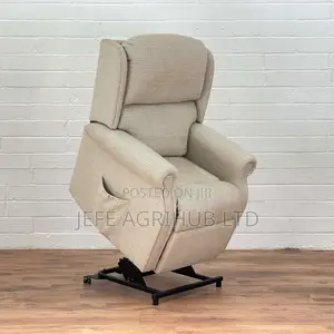 Riser and Recliner Chair