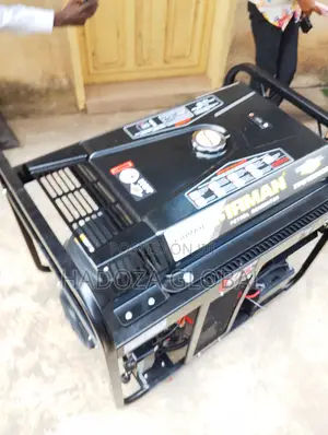 Fpg15000se Firman 10kva Electric Start Petrol Generator