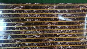 Highquality Marble Sticker Wallpaper