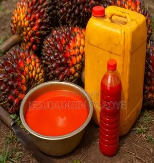 25 Litres Natural Red Palm Oil (100% Organic)
