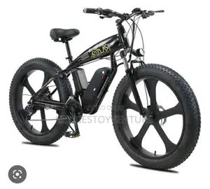 Rlast Electric/Manuel Shark Bikes