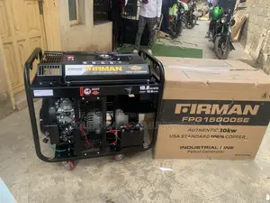 Firman Fpg15000se: 15000w Electric Start Workhorse