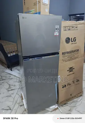 Lg 264 Liters Refrigerator - Double Door With Advanced Inverter