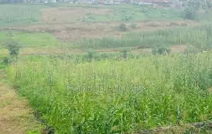 2920sqm Residential Plot for Sale in Jabi
