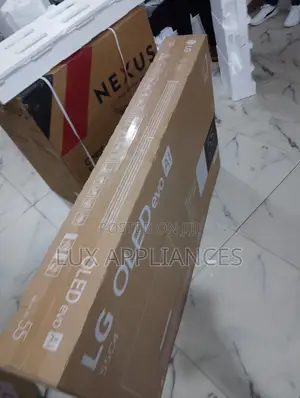 Lg 55-Inch Oled – Lightly Used, Works Like New
