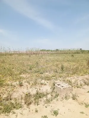 2 Hectares of Land for Sale