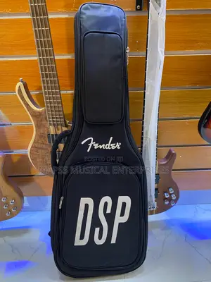 Gig Bag (Soft Case) for a Lead Guitar.