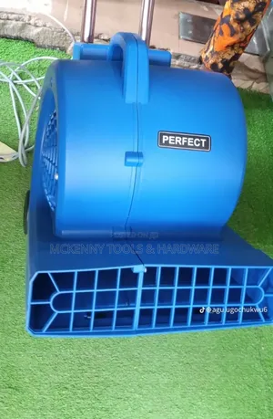 Pure Copper Design Motor Air Blower Professional 1000w Carpet Floor