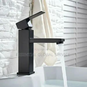 Executive Black Basin Faucet