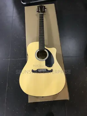 Professional Fender Fa Series Electro Acoustic Guitar