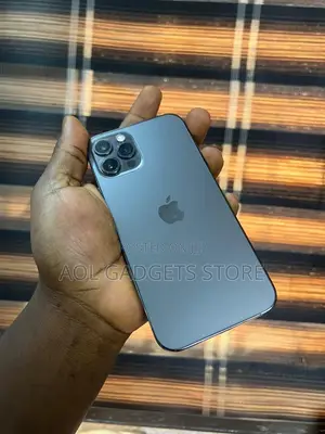 Apple iPhone 12 Pro 256 GB Gray