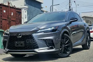 Lexus RX 2023 Gray