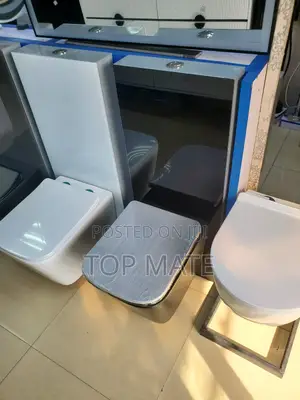 High Quality England Top Luxury Wc Toilet (Luxury)