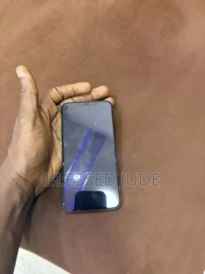 Apple iPhone 11 Pro Max 256 GB Gray