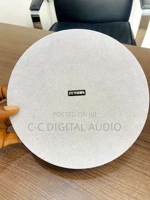 Tundra Frameless Passive Ceiling Speaker