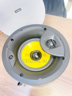 Tundra Frameless Passive Ceiling Speaker