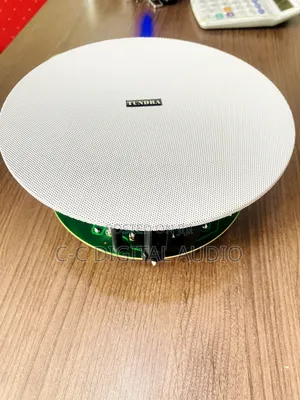 80 Watt Max Power Ceiling Speaker