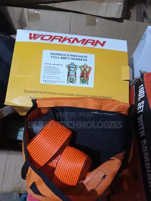 Workman Safety Belt