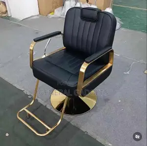 Luxurious Saloon Chair