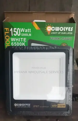 Electric Flood Light, 150watts
