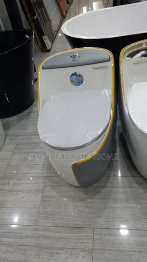 Two-Tone Luxury One-Piece Toilet With Gold Trim – Modern Soft-Close
