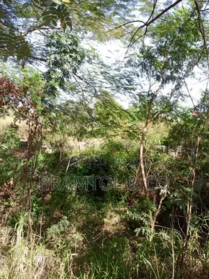 Almost One Hectares Mixed Use Land I Jabi Main
