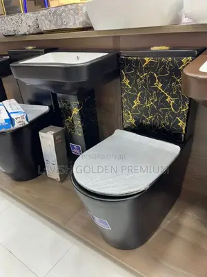 Envy Marble Gold Toilet Seat With Basin and Pedestria.