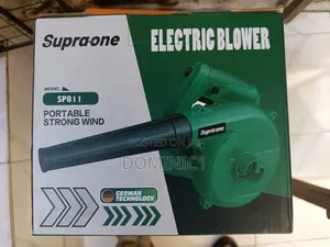 Electric Blower 800watt