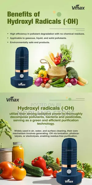 Vmax Meet and Friut Purifier