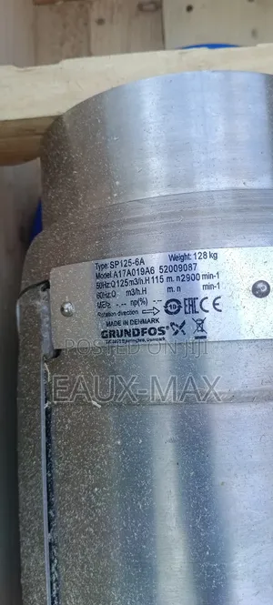 Grundfos Submersible Water Pump