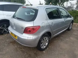 Peugeot 307 1.6 Break Grand Filou 2005 Silver