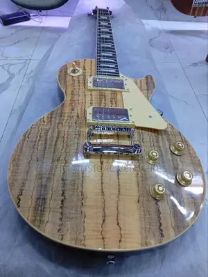 Gibson Less Paul 6 Strings Electric Lead Guitar