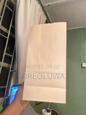 100pcs Paper Bag.