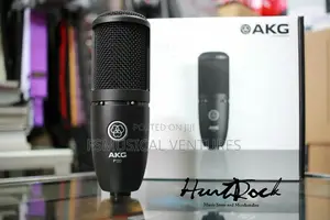 Akg P120 High Performance Condenser Microphone