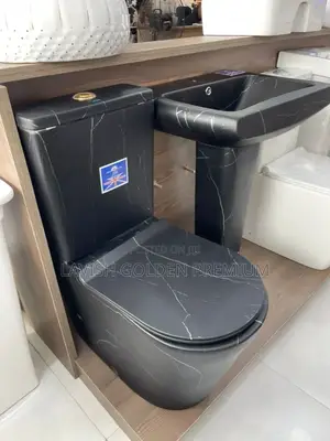 Black Marble Close-Coupled Toilet Seat With Basin and Pedestal