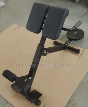 Brand New Hyper Extension Bench With Waist Twister