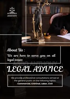 Professional Lawyers In Practice