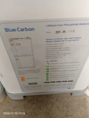 Blue Carbon Lithium Ion Batteries 15kwh 48v