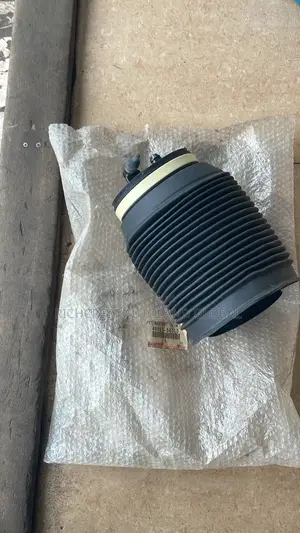 Toyota Sequoia 2006 Lifting Pump/ Shock Absorber Baloon